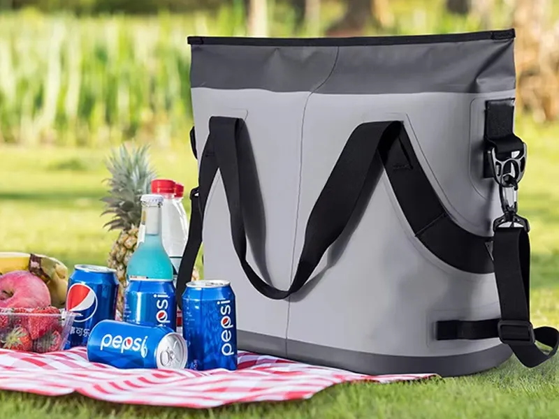 Лагерьдегі мұз пакеттерінің рөлі